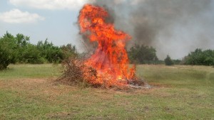 Burn pile going up in flames at Fox Run Farms