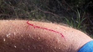 2012-07-07_09-48-08_881