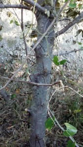 2012-07-07_10-13-51_408