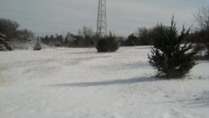 Looking east across the pasture - December 2012